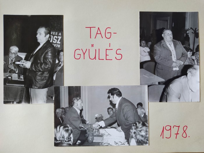 taggyules 1979